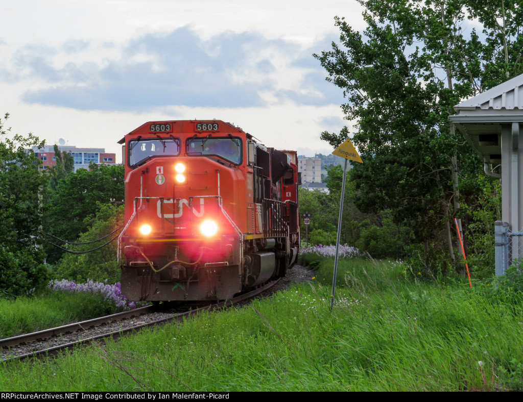 CN 5603 leads 403 at MP124.44